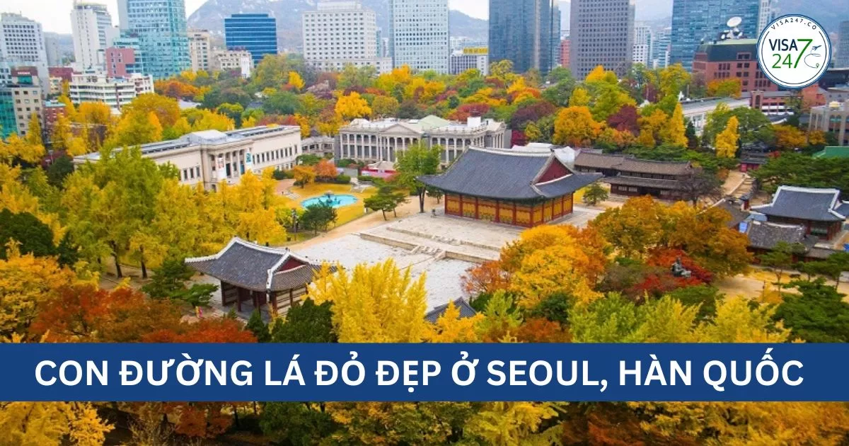 Con đường lá đỏ đẹp ở Seoul