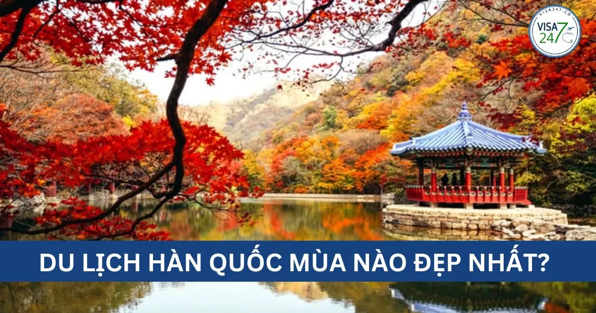 Du lịch Hàn Quốc mùa nào đẹp nhất