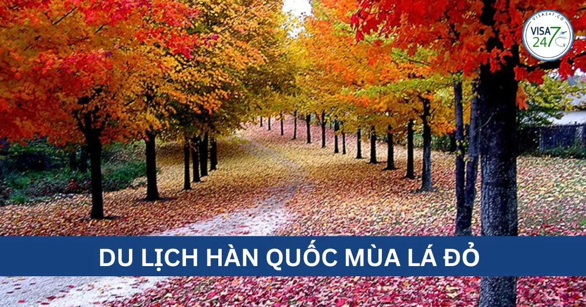 Du lịch Hàn Quốc mùa lá đỏ