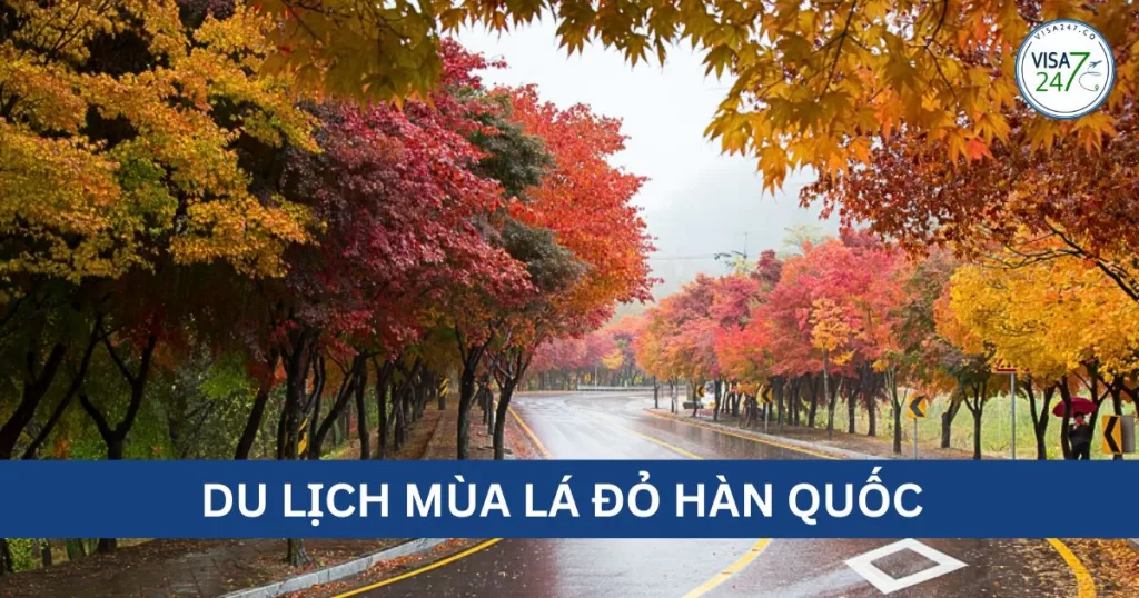 Du lịch mùa lá đỏ Hàn Quốc